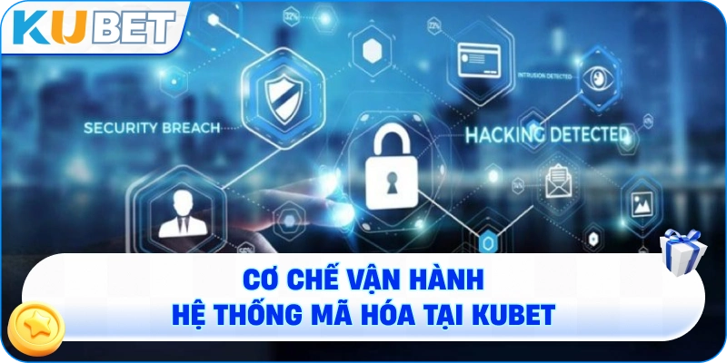 Cơ Chế Vận Hành Hệ Thống Mã Hóa Tại KUBET